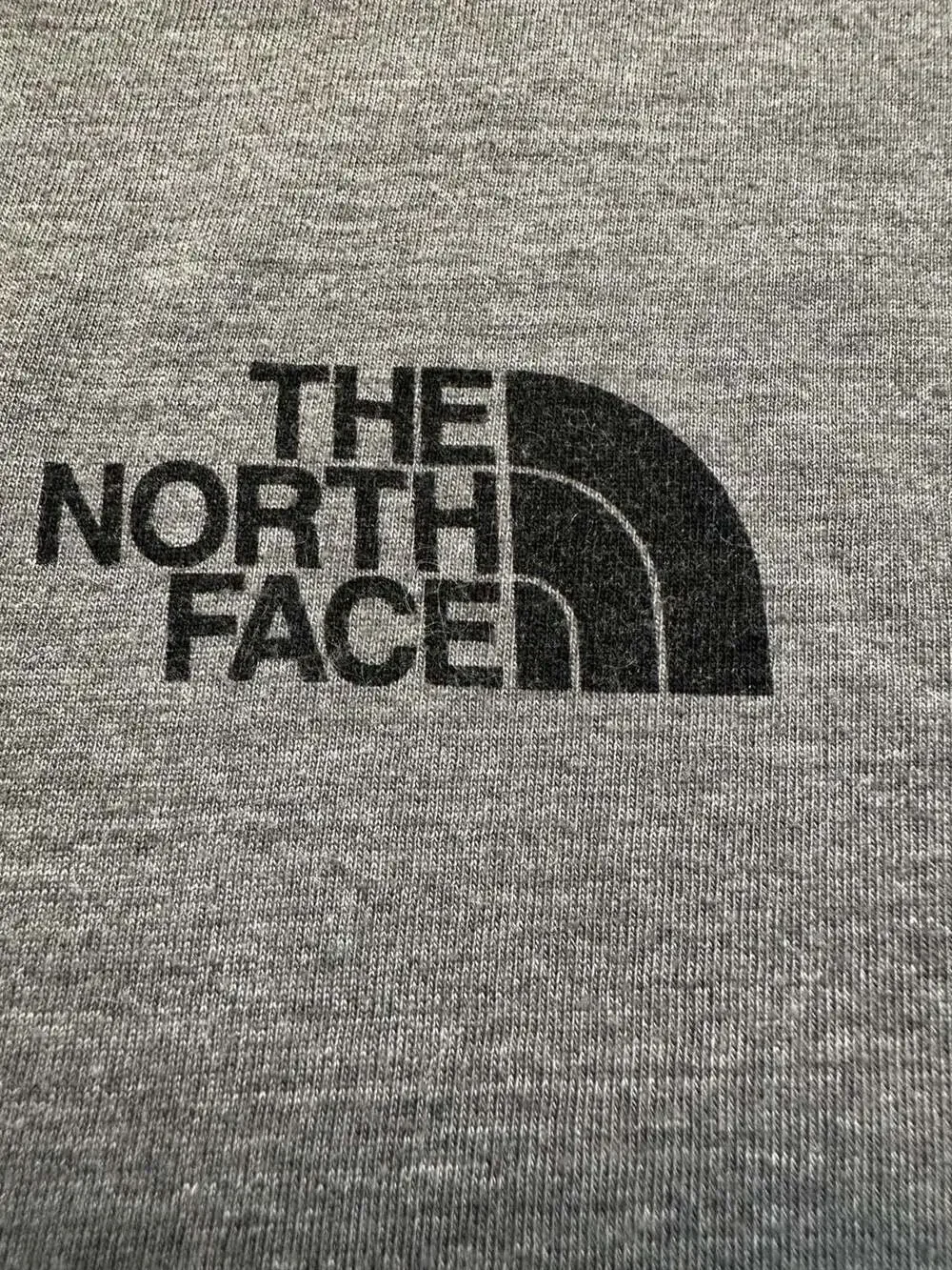 The North Face 'Pack That Ass Up' Graphic T-Shirt Gray Slim Fit Funny Classic